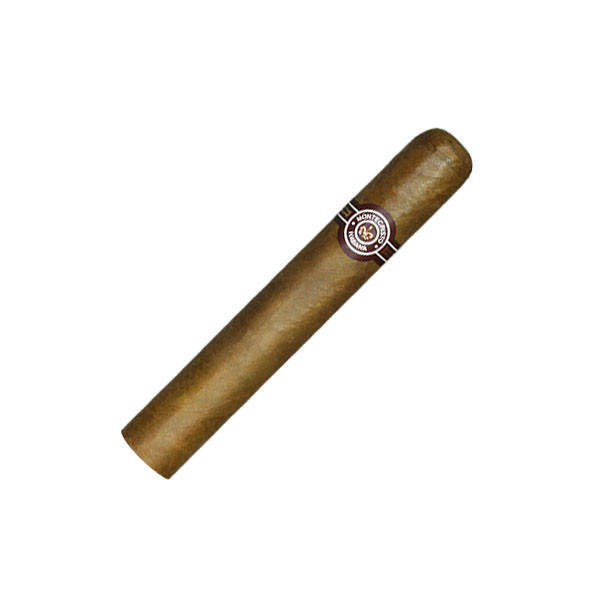 EDMUNDO A/T - Image 2