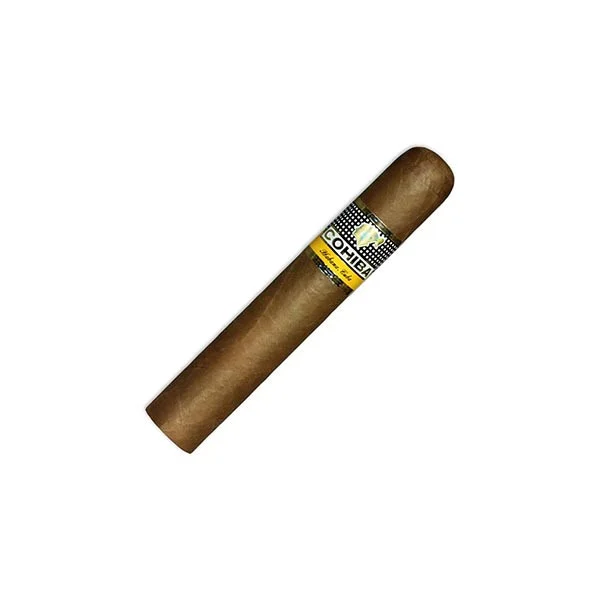 羅布圖 ROBUSTO：圖片 3